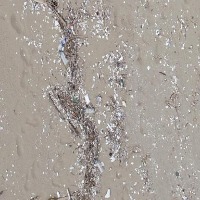 Beach Garbage project thumbnail