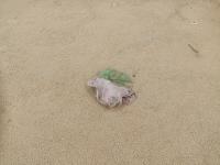 Find plastic and = project thumbnail