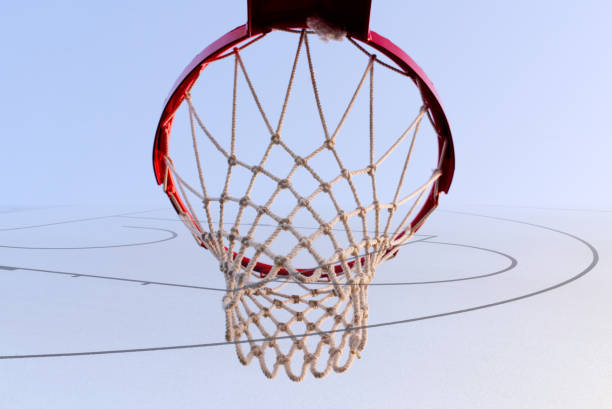 basket-25 Object Detection Model by robocon