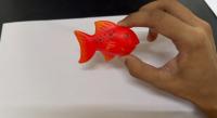 fish classification project thumbnail