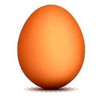 FP ML Telur project thumbnail