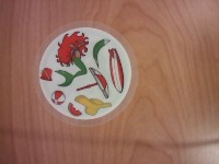 Dobble project thumbnail