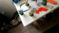 weeds project thumbnail