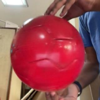red ball Object Detection Dataset by SharanGS