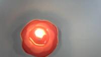 Find fires project thumbnail