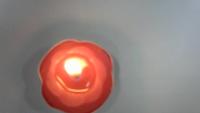 Find fires 4 project thumbnail