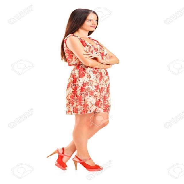 Vision Impaired Assistance Object Detection Dataset and PreTrained