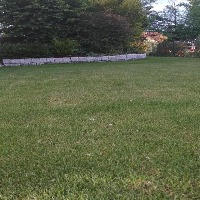 Lawn Mowing Quality project thumbnail