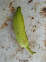 Banana object identification project thumbnail