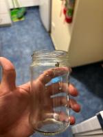 Garbage detection project thumbnail