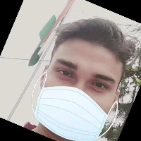 Dataset Image