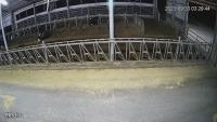 testcow_limited project thumbnail