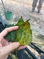 Smart Agriculture project thumbnail