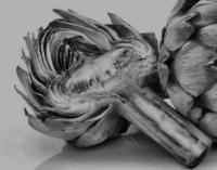 Segmentación(artichoke) project thumbnail