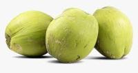 cocunut_maybe project thumbnail