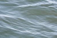 jetski number project thumbnail