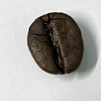 classification warna roast kopi project thumbnail