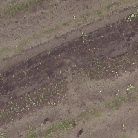 carrot_weed project thumbnail