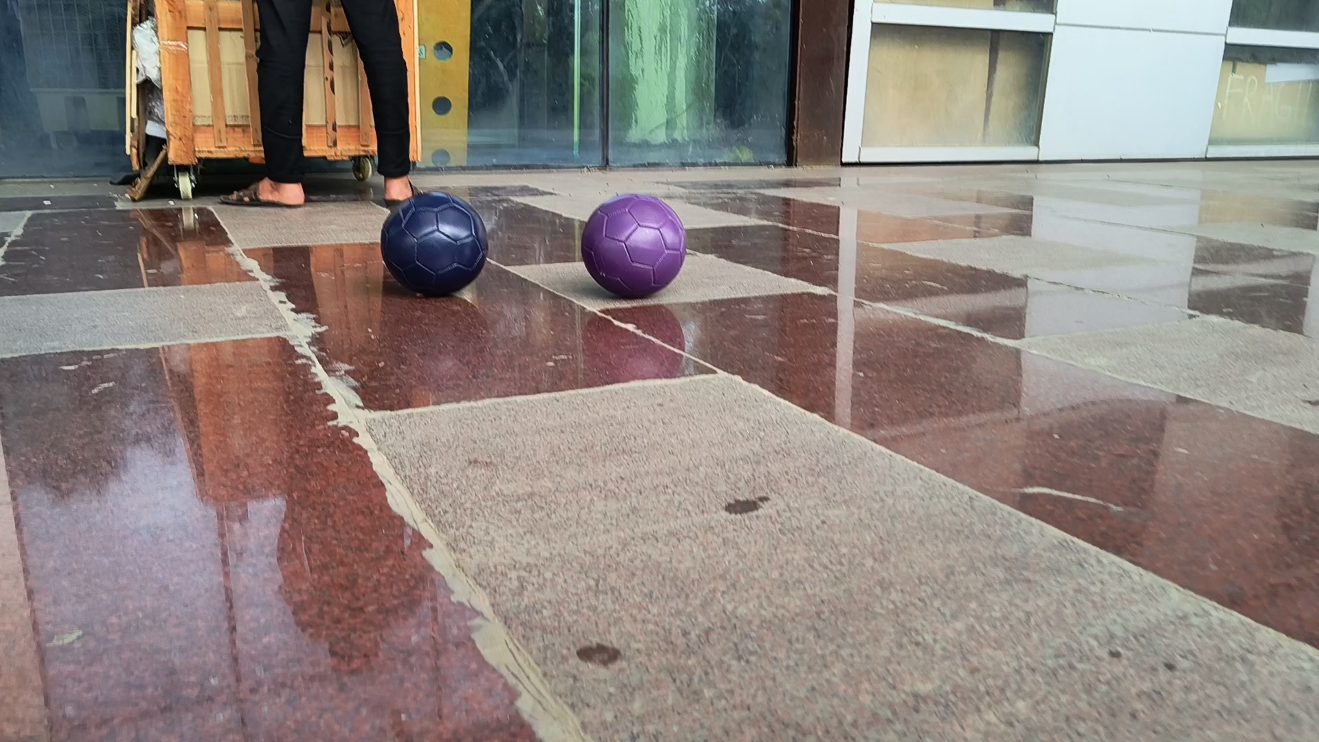 ROBOCON 2024 Object Detection Dataset and Pre-Trained Model by ROBOCON 2024