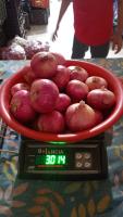 Find onions project thumbnail