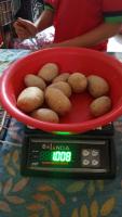 Find potatoes and onions project thumbnail