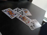 Dataset Image