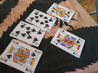 Dataset Image