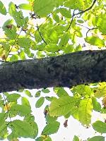 BranchTraining project thumbnail