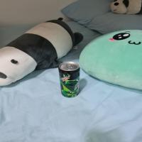 recycle_master_data project thumbnail