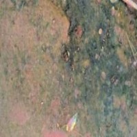 Soil Types & Wetness Classify project thumbnail