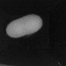 Silk_cocoon project thumbnail