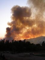 FireDetection project thumbnail