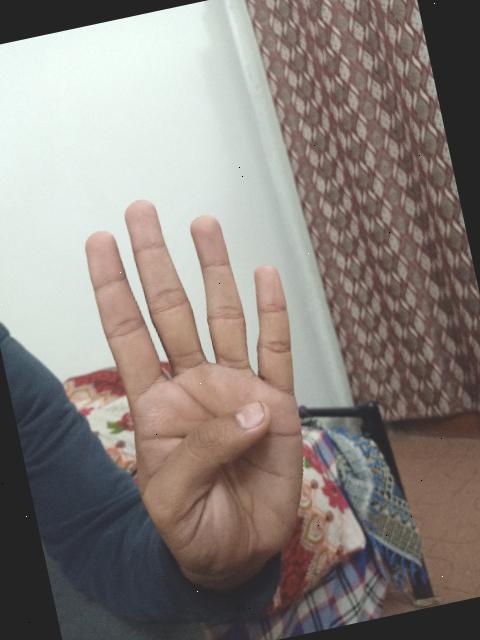train Object Detection Dataset by hand gesture data set