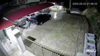 nhan_dien_dong_phuc project thumbnail