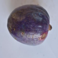 apple、mango、plums project thumbnail