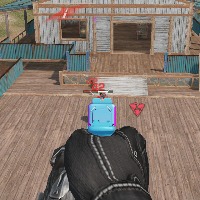 Dataset Image