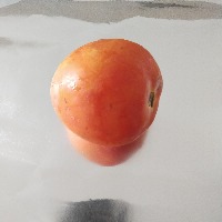 vegetables project thumbnail