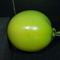 Tomato Ripeness Classification project thumbnail
