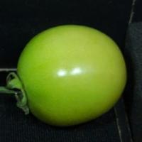 Green project thumbnail