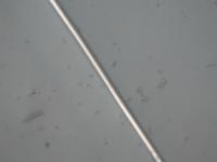 fiber project thumbnail