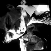 cigarette smoking and cardiovascular disease How Smoking Damages Your Arteries: The Mechanics Of Atherosclerosis
