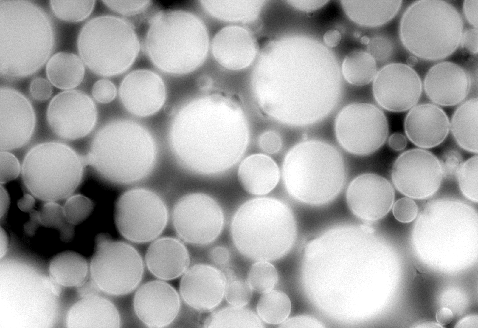Test Validation Set - Roboflow Universe