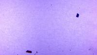microplasticos-upc project thumbnail