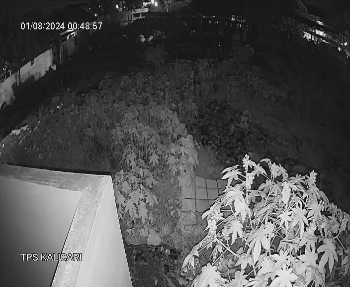 Waste Classifitaion Object Detection Model by Semarang Sampah Dataset