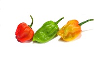 Habanero Mature detector project thumbnail