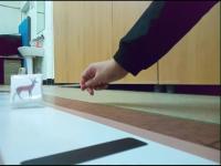 obstacle Object Detection Model by new-workspace-m4l6n
