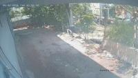 tracktor detection bounding box project thumbnail