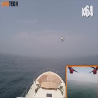 DronesvsBirds project thumbnail