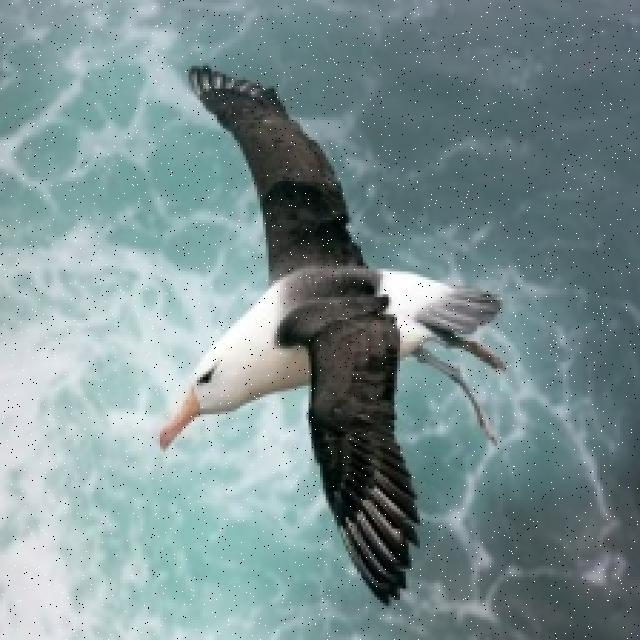Birds Object Detection Dataset by UAV detection