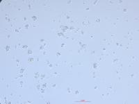 micro_floc project thumbnail